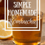 Homemade kombucha has such great bacteria in it for healing leaky gut, but it's so expensive... Not when you make it at home, y'all can seriously make it for PENNIES! And so tasty, take my word for it!