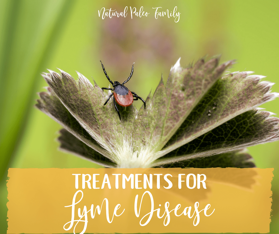 Lyme disease is not easy to understand. It's complex, highly adaptable, and difficult to diagnose. Learn about treatments for Lyme disease today!