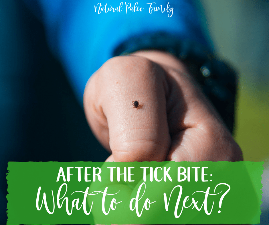 So you've gotten a tick bite; but you're not sure what to do next. Learn how you treat it, and how to minimize the potential impact of Lyme Disease & co.