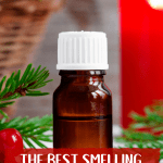 The scents of the holidays are amazing, but candles cause health problems. Here are the best smelling holiday essential oils to brighten your holidays!