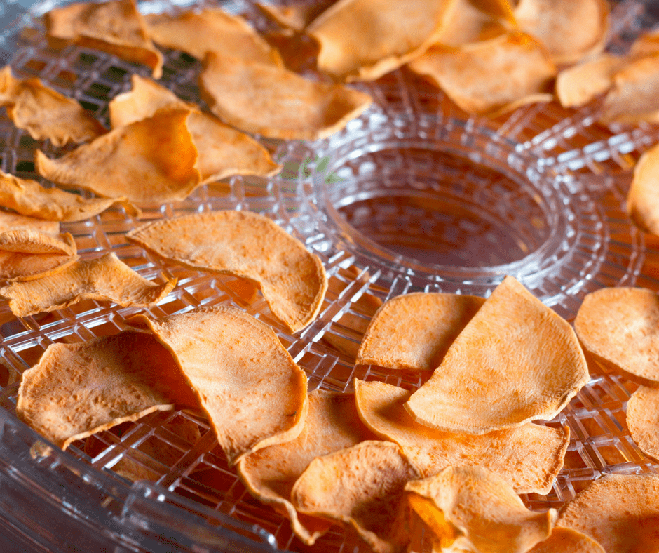 sweet potato chips in a dehydrator
