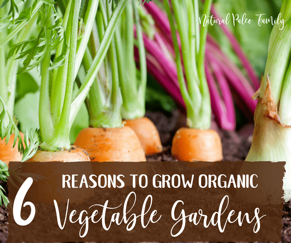Many people think that it's a lot of work to grow organic vegetable gardens; and while they are correct, it's also fun and fulfilling work that comes with great rewards.