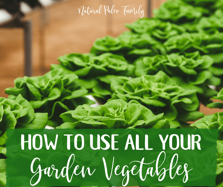 Growing a garden is a fantastic way to guarantee access to the freshest, most nutrient dense food for nourishing your body; and using garden vegetables can really help speed up healing from chronic illness.  But you have to make sure you use what you grow; if you don't, it will all go to waste.