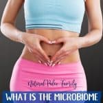 gut health and microbiome