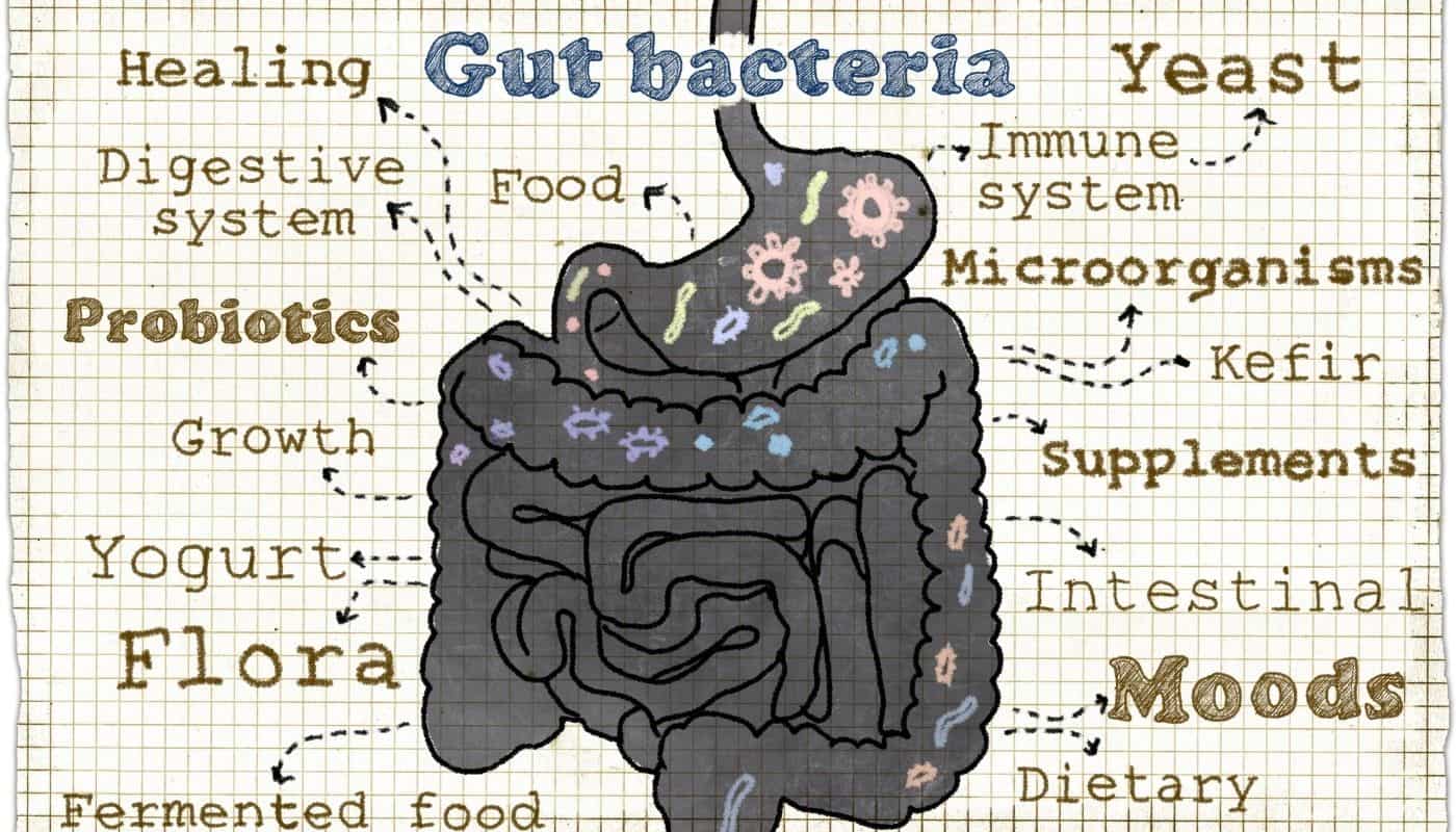 Microbiome-gut-brain axis